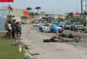 Motociclista morre ao bater em cavalo solto na RJ-106 em Maricá