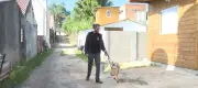 Motorista de app recusa cego com cão-guia em Florianópolis