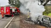 Motorista fica ferido após carro bater em árvore e pegar fogo na RJ-220