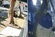 Motorista foge após atropelar idosa de 81 anos em Santos, SP