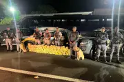 Motorista preso com 100 kg de skunk em fundo falso de ônibus