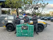 Motorista preso com 257 kg de cocaína e fuzil em São Roque