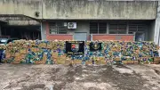 Motorista preso com 4,3 toneladas de maconha em Presidente Epitácio