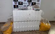 MP denuncia 25 pessoas por venda de medicamentos veterinários falsos em MG
