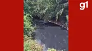 MT homologa emergência em Mirassol d'Oeste após descarte químico