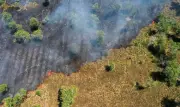 Mudanças climáticas amplificam sensibilidade das chuvas na Amazônia ao desmatamento