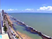 Mulher de 19 anos é mordida por tubarão em praia de Boa Viagem, no Recife