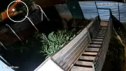 Mulher morre atingida por cabo de aço solto em Ribeirão Preto