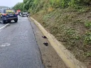 Mulher morre em capotamento na BR-230 na Paraíba