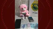 Mulher é presa com crack escondido em ursinho de pelúcia no Paraná