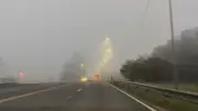 Neblina intensa reduz visibilidade em rodovias do RS