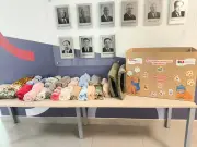 OAB Juiz de Fora arrecada roupas e casinhas para pets no inverno