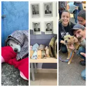 OAB-MG arrecada agasalhos para pets em campanha de inverno