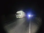 Oito búfalos morrem atropelados por carreta na MG-170 em Lagoa da Prata