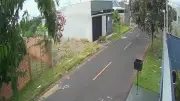 Onça-pintada é vista andando por área urbana de Foz do Iguaçu