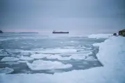 ONU alerta para crise crescente nos oceanos e pede ação global urgente