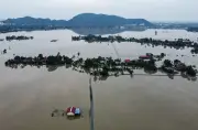 ONU alerta para crise oceânica e pede ação global urgente