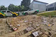 Operação resgata 95 aves e prende criador por maus-tratos no Paraná