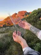 Parque Nacional da Serra dos Órgãos tem frio histórico e vegetação congelada