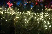 Parque Villa-Lobos recebe exposição imersiva Brilha Sonhos com 17 mundos