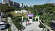 Parques de SP têm mutirão ecológico, trilha e shows gratuitos no Junho Verde