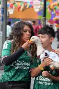 Pato Merlin: mascote da Copa transforma vida de família mexicana