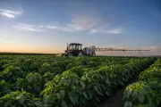 PEC Brasil 2025: maior evento do agro no Ceará espera R$ 150 mi