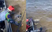 Pescador fisga tartaruga gigante no Rio Araguaia em Aruanã