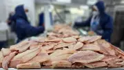 Pescados brasileiros se defendem de tarifas dos EUA em audiência