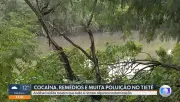 Pesquisa revela contaminação em todos os trechos do Rio Tietê