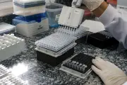 Pesquisador holandês é acusado de contrabandear vírus mpox para os EUA
