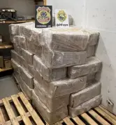PF apreende 1,6 tonelada de drogas em carreta na BR-277