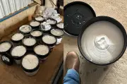 PF apreende 62 kg de cocaína em baldes de massa corrida em RO