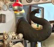 PF apreende tromba de elefante asiático em antiquário no Centro do Rio