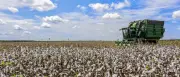 PIB do Ceará cresce 1,93% no 1º trimestre e supera média nacional