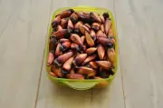 Pinhão: benefícios nutricionais e receitas para o ano todo