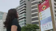 Placas de alerta de tubarão sofrem vandalismo em Pernambuco