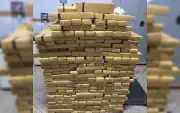 PM apreende 587 kg de maconha em chácara e prende jovem em Presidente Prudente