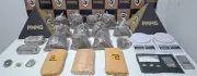 PM apreende 'supermaconha', cocaína e crack em casas abandonadas em Timóteo