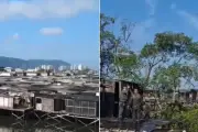 PMA demoliu construção irregular em manguezal em Santos