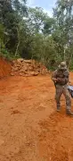 Polícia Ambiental flagra degradação em área de preservação em Paraty