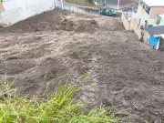 Polícia Ambiental flagra extração ilegal de árvores em Volta Redonda