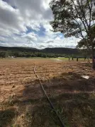 Polícia apreende 1,8 tonelada de maconha e estrutura de cultivo em MG
