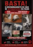 Polícia investiga morte de 10 animais por envenenamento em Pains (MG)