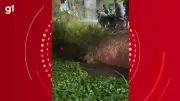 Policial de folga salva casal que caiu em lagoa durante temporal em Montes Claros