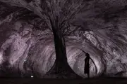 Ponte de Paris vira caverna virtual com realidade aumentada