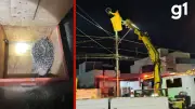 Porco-espinho é resgatado de poste de 15 m em Lucas do Rio Verde