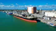 Porto de Natal é habilitado para exportar animais vivos