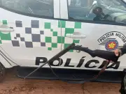 Preso por posse ilegal de arma em Martinópolis após denúncia de maus-tratos