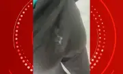 Preso suspeito de ejacular em mulher no metrô de Salvador